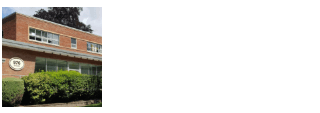 buffalo