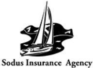 sodus insurance agency