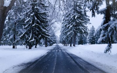 Preparing Your Home for Winter: Essential Insurance Tips